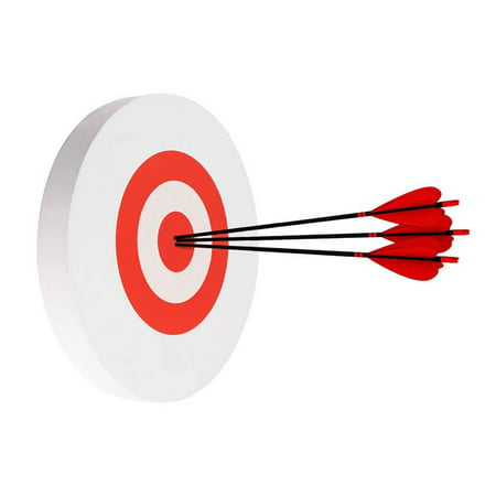 2x Foam EVA Hunting Targets Archery Arrow Outdoor Shooting Game Target Practice